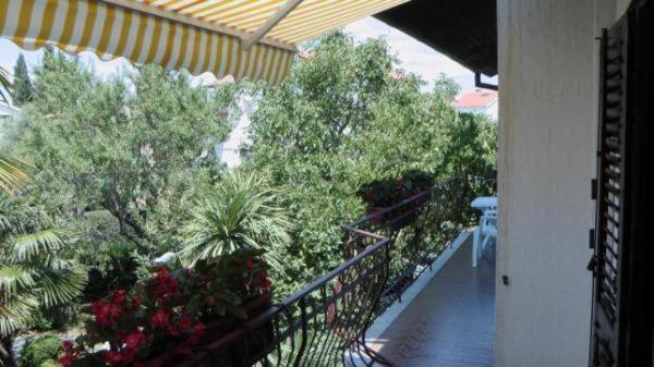 Odak APP Rovinj Dış mekan fotoğraf