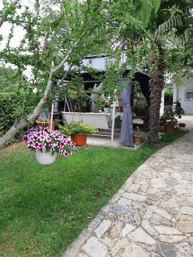 Odak APP Rovinj Dış mekan fotoğraf