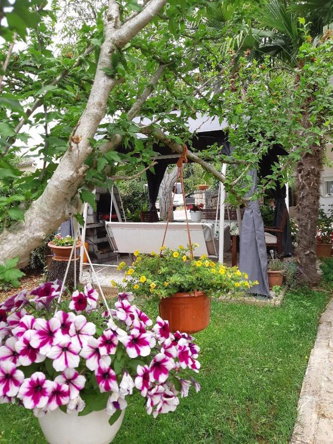 Odak APP Rovinj Dış mekan fotoğraf