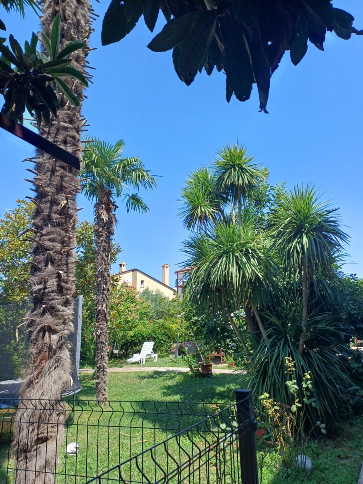 Odak APP Rovinj Dış mekan fotoğraf